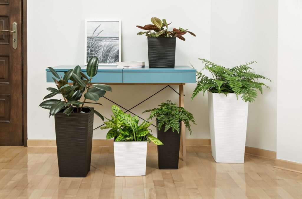 doniczki-JUKA-DLUTO-Biala-Ksztalt-Kwadratowy